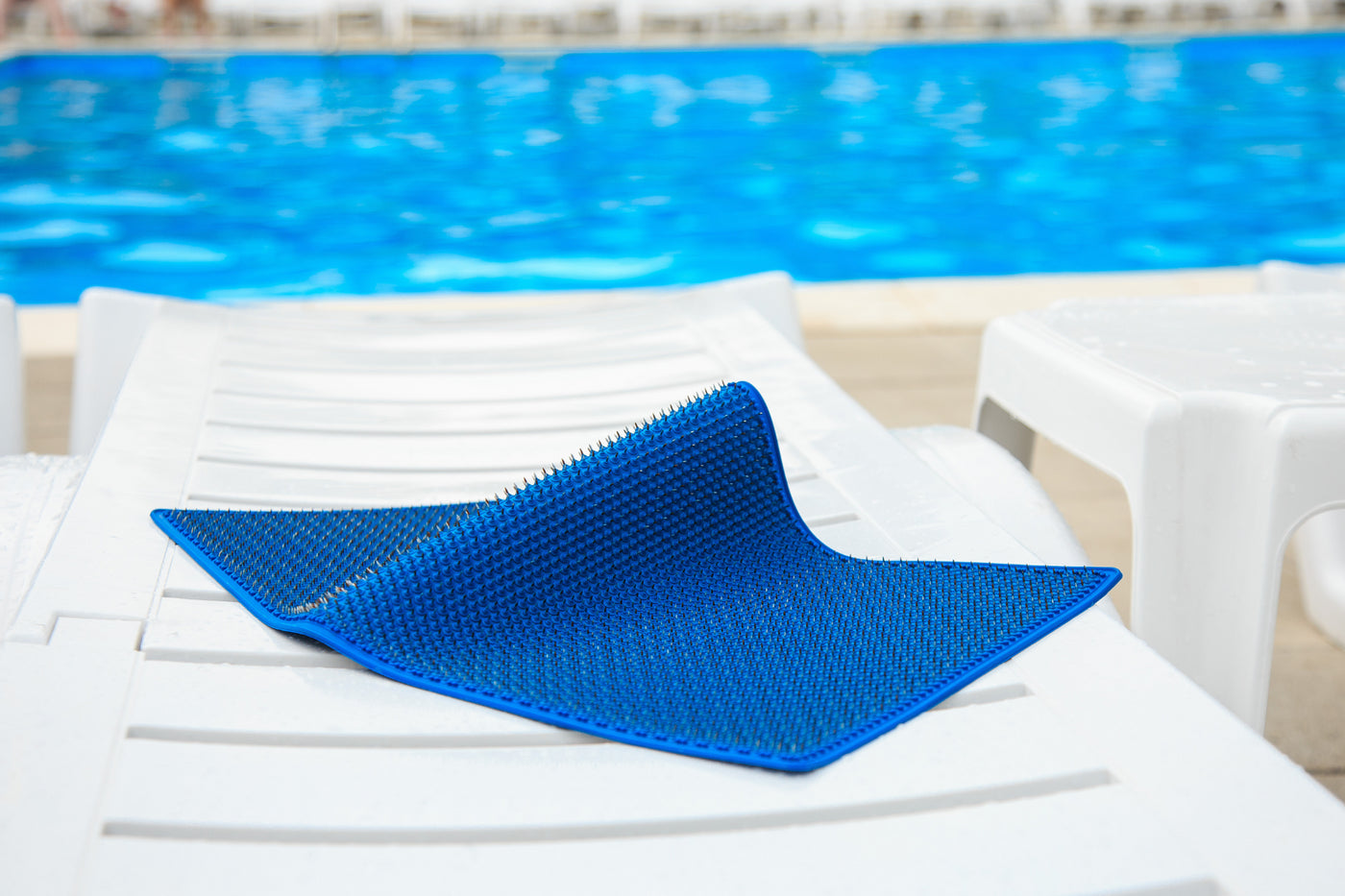 Summer Adventures Summer Adventures