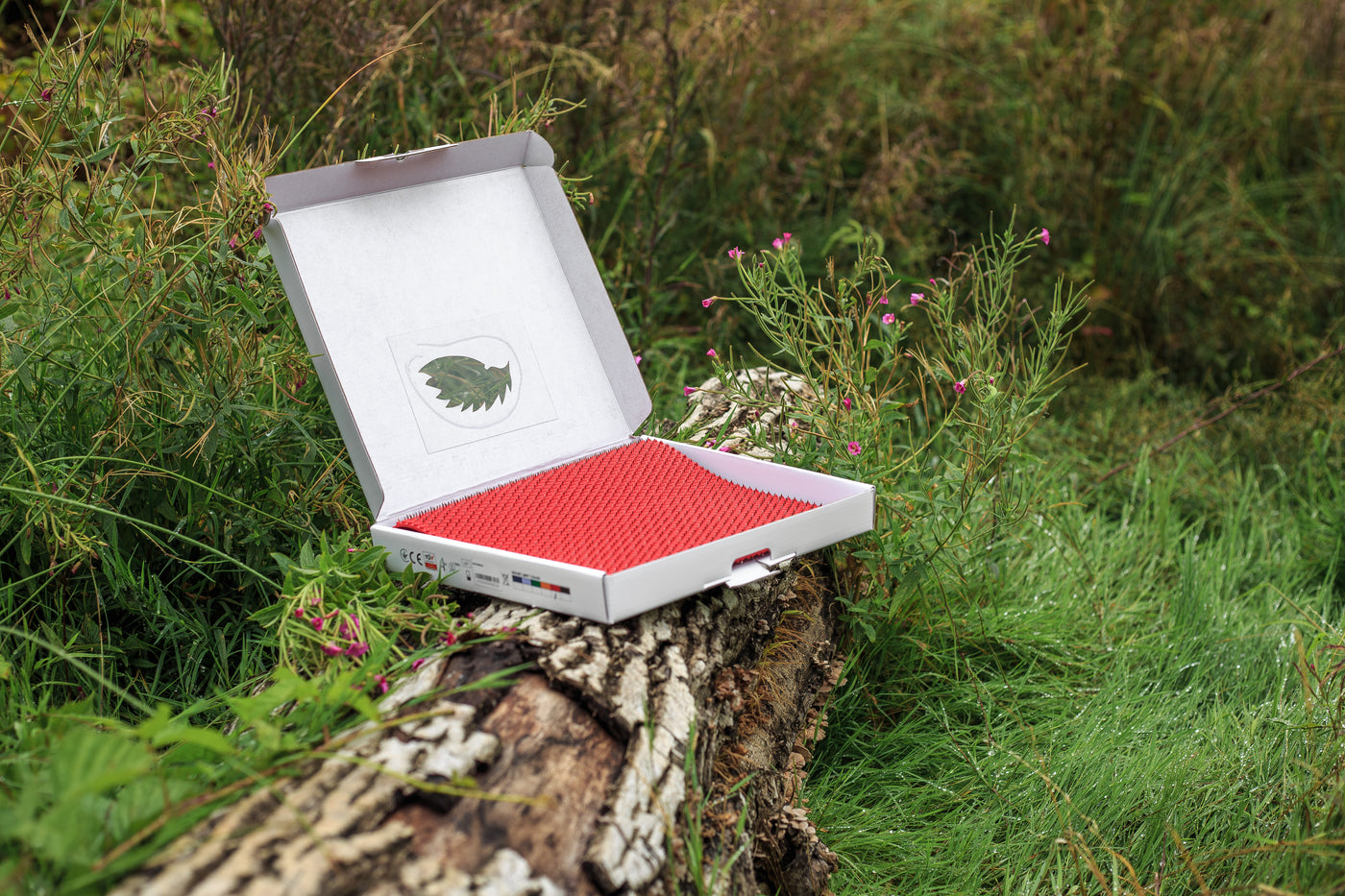 A Heartfelt Surprise A Heartfelt Surprise