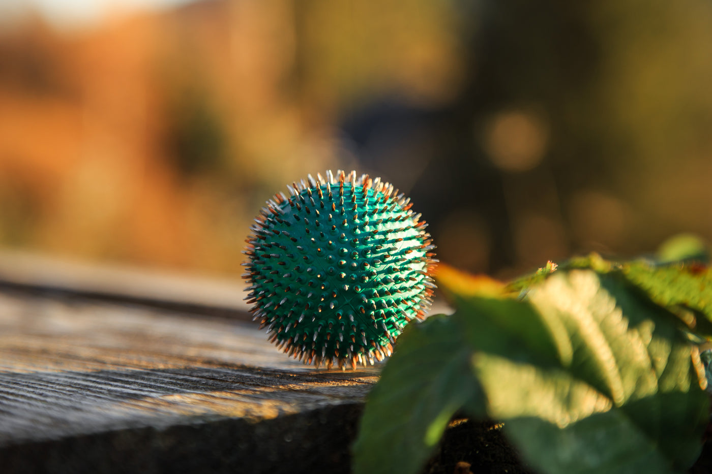 Guide for Self-Massage of Acupressure Points